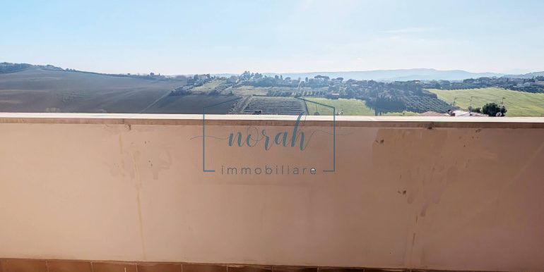 PXL_20260202_115452274