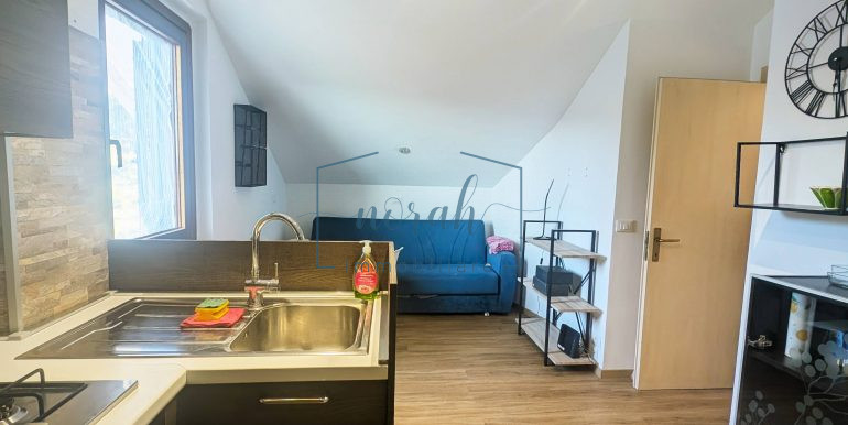 PXL_20260202_115649113